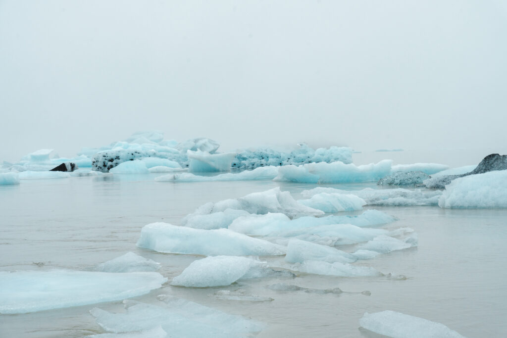 Fjallsárlón 小冰河湖
